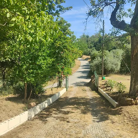 Large Country House In Le Marche Holiday home Montadamo